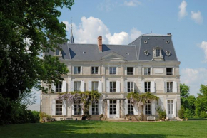 Отель Chambres d'Hotes Château de la Puisaye  Вернёй-Сюр-Авр